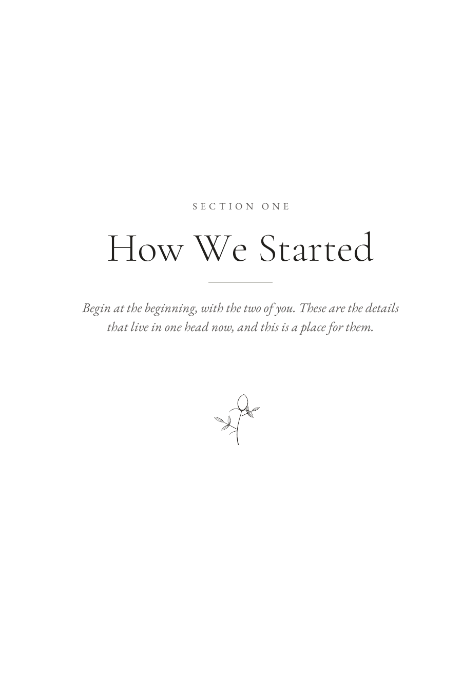 Section opener titled How We Started